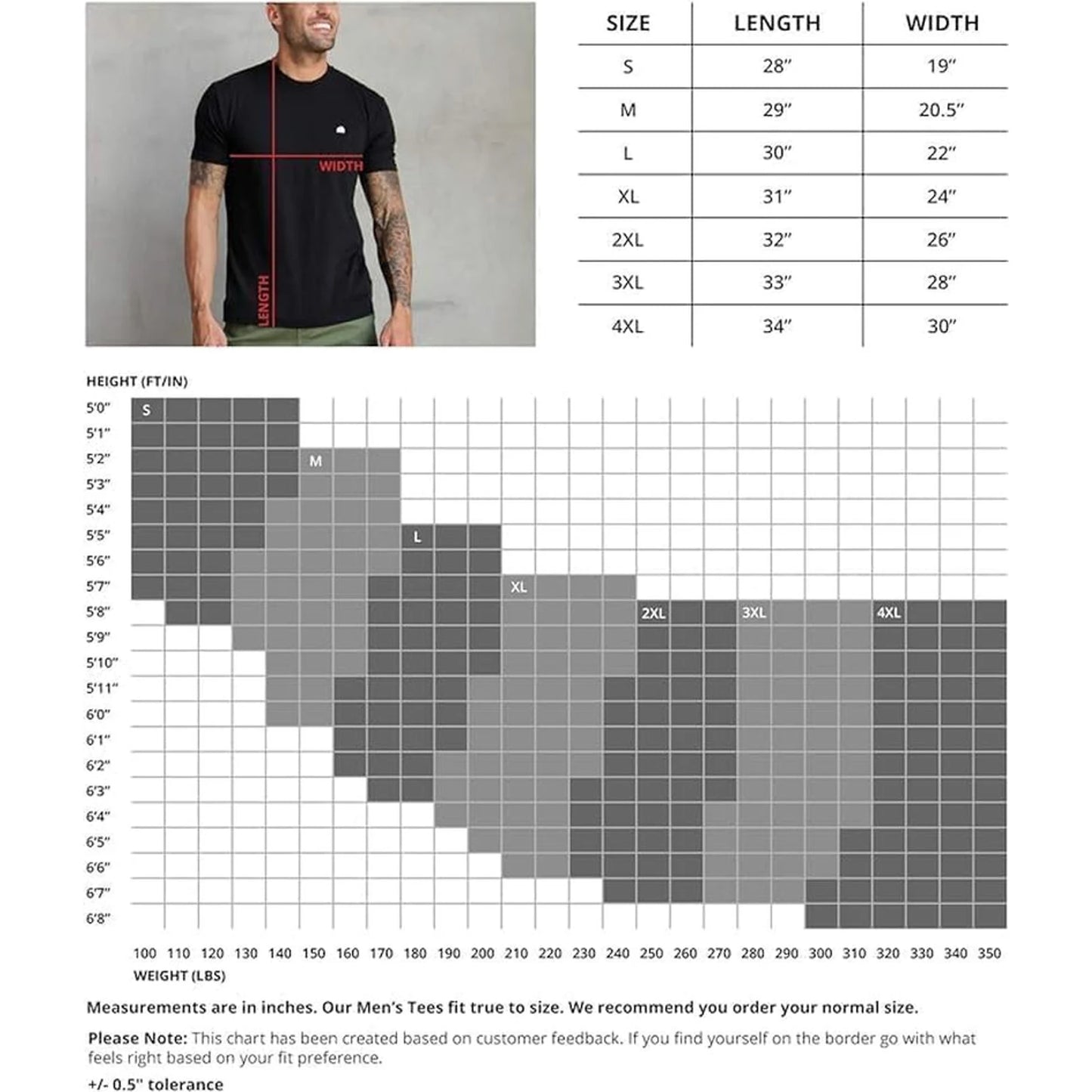 Mens T Shirt Packs - Short Sleeve Crew Neck Soft Fitted Tees S - 4xl Fresh Classic Tshirts 🌴